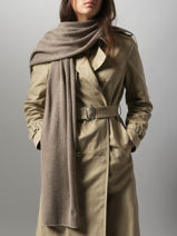 Scarf Cashmere Vercors Etrier Brown vercors EVER427U-vue-porte